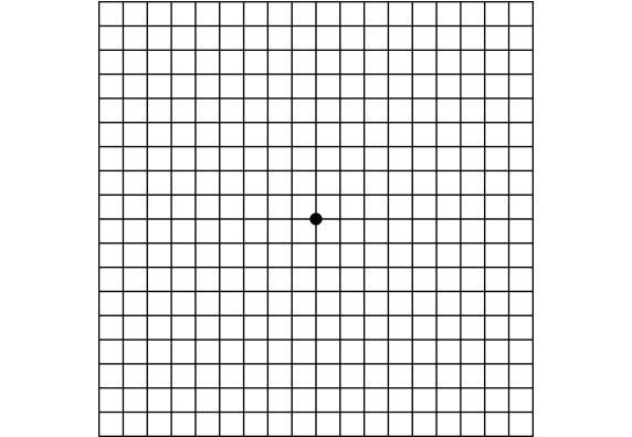 fotografija testa, nacrtani su kvadratići i u sredini je postavljena crna tačka